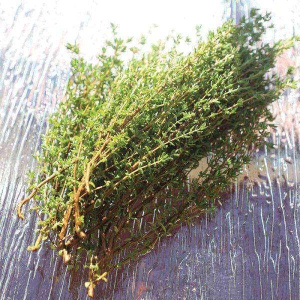 Thyme Ayelet Organic Seed Online Sale - Image 4
