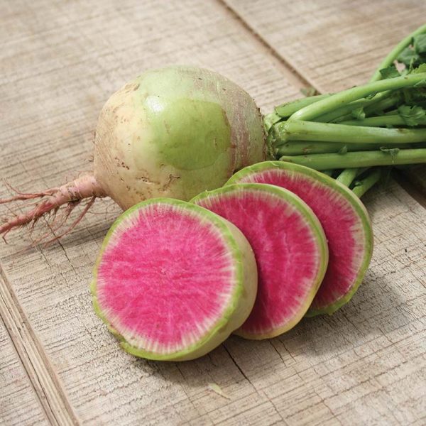 Radish Watermelon Seed Discount