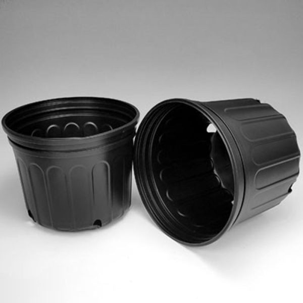 10  Squat Nursery Pots Online now