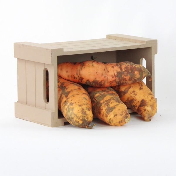 Sweet Potato Centennial For Discount - Image 2