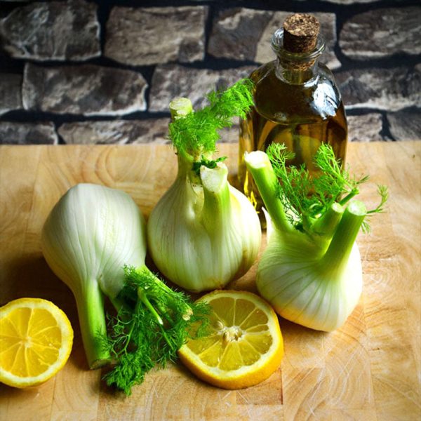 Fennel Preludio F1 Organic Seed Fashion - Image 5