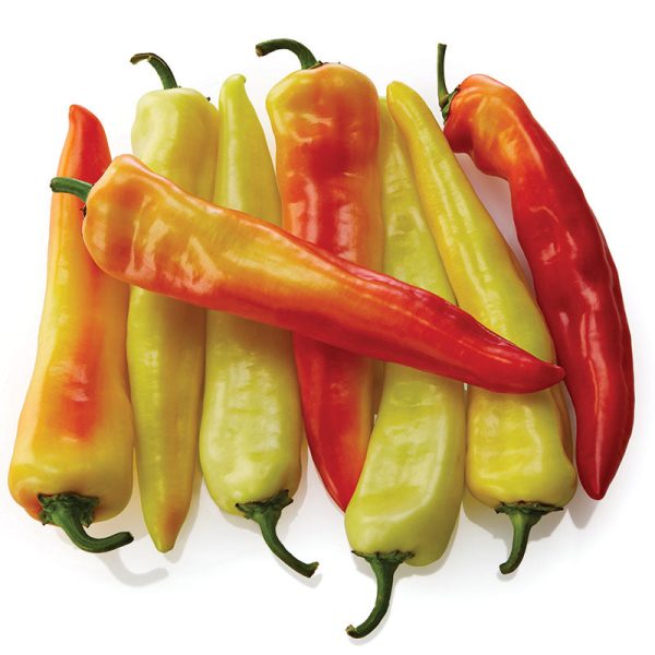 Pepper Sweet Sunset F1 Seed Supply