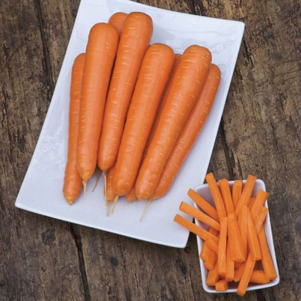 Carrot Siroco F1 Seed For Discount