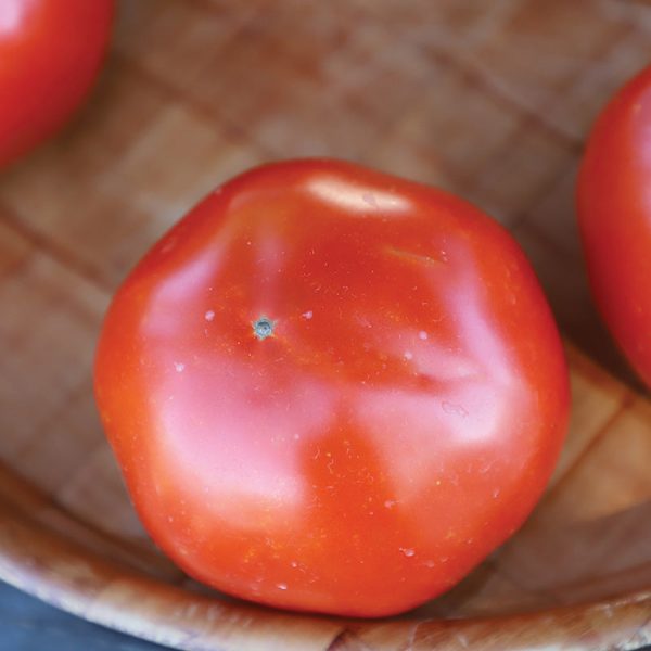 Tomato Red Snapper F1 Seed For Cheap - Image 4