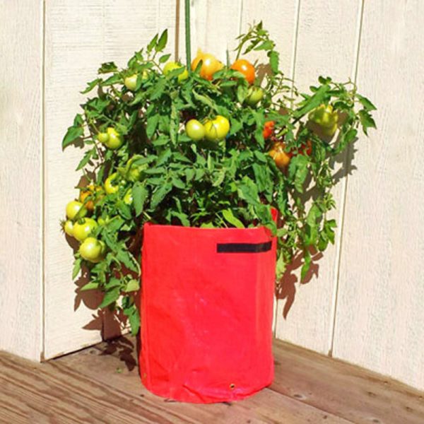 Tomato Patio Planters 3 Pack Sale