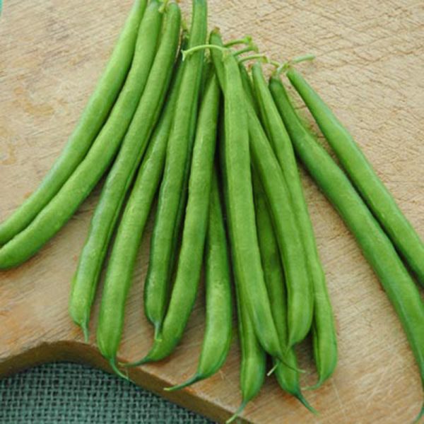 Bean Pike Seed Supply - Image 3