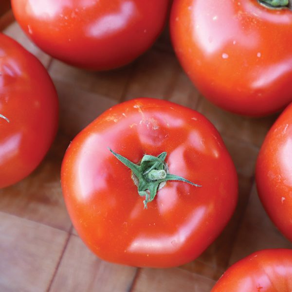 Tomato Red Snapper F1 Seed For Cheap - Image 3