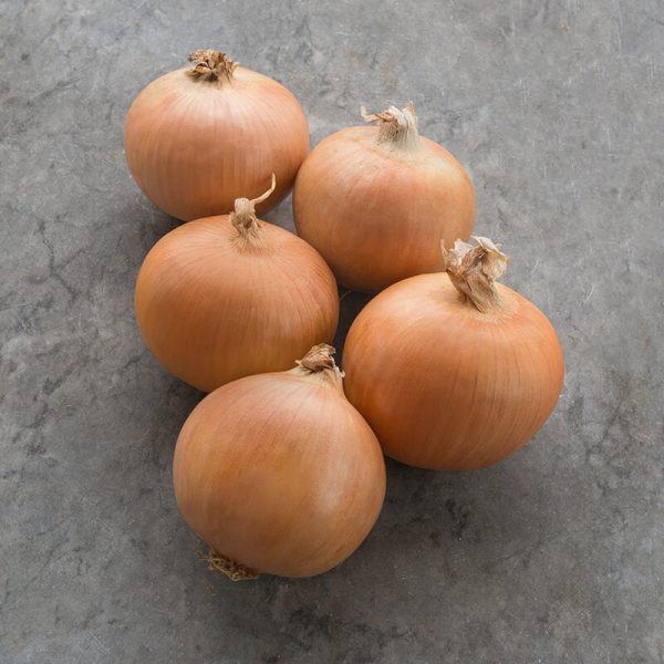 Onion Powell F1 Organic Seed Online Hot Sale
