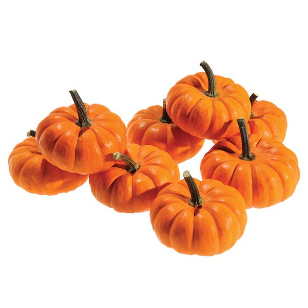Pumpkin Jill-Be-Little Seed Online - Image 3