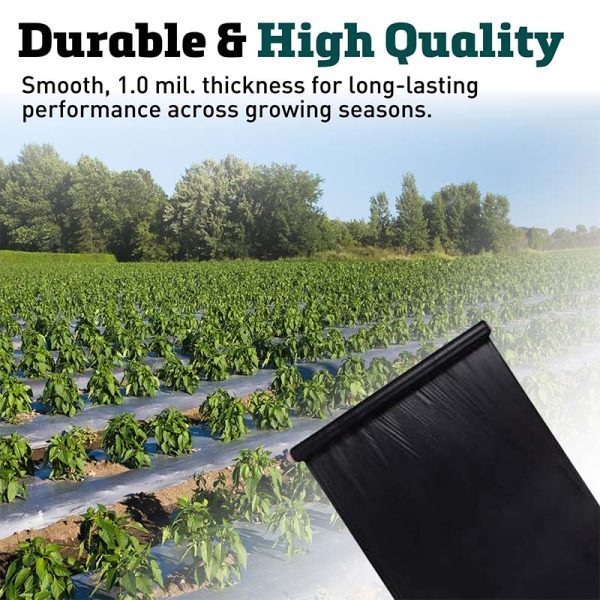 Black Plastic Mulch 5  x 2000  Supply - Image 2