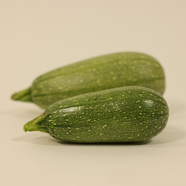 Squash Mexicana F1 Organic Seed For Discount - Image 5