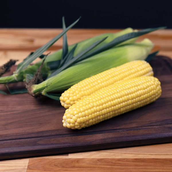 Sweet Corn Playa F1 Seed Fashion