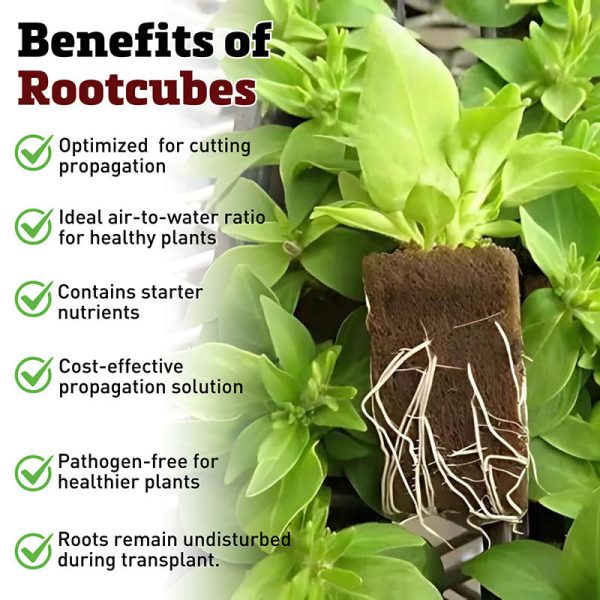 Oasis Horticubes® XL Grow Cubes 50ct Sheet Supply - Image 3