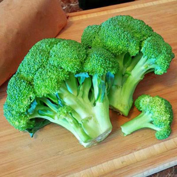 Broccoli Gypsy F1 Seed Supply - Image 3