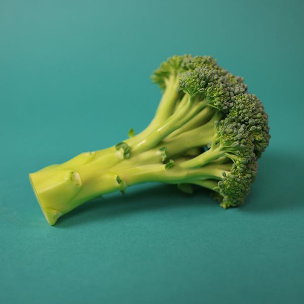 Broccoli Gypsy F1 Seed Supply