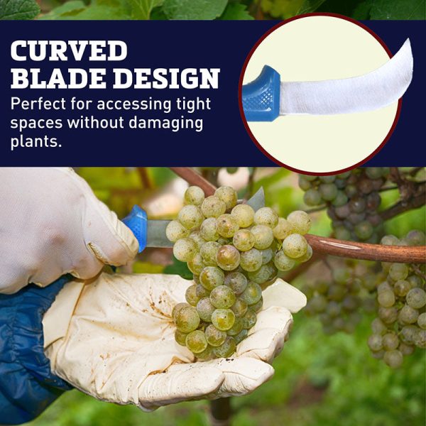 Grape Knife on Sale - Image 5